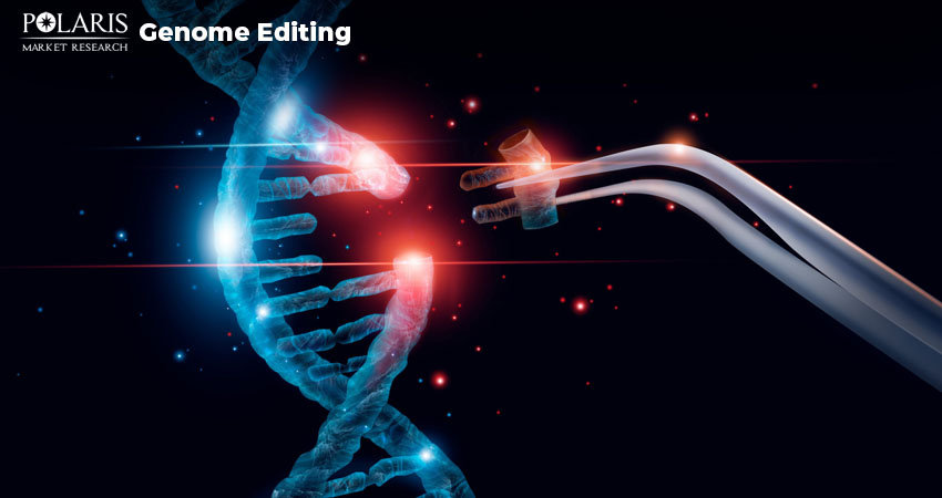 Listing Top 5 Genome Editing Companies Worldwide With Current Market Trends